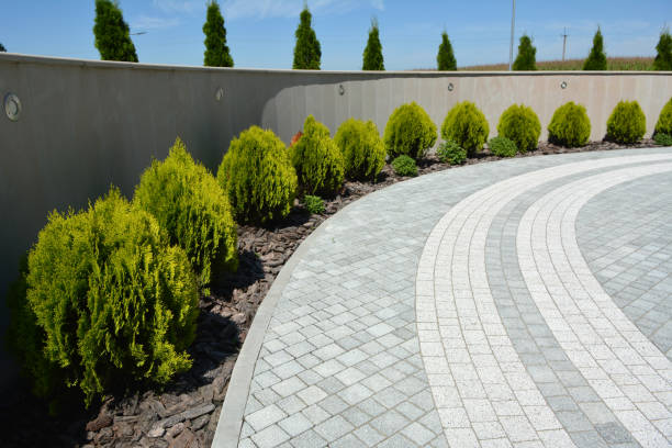 Best Brick Driveway Pavers  in Pitola, CA